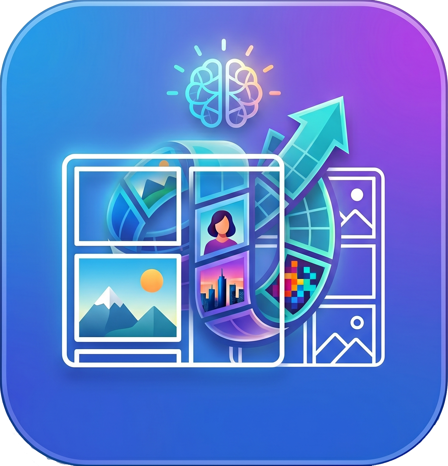 iLayout Pro icon